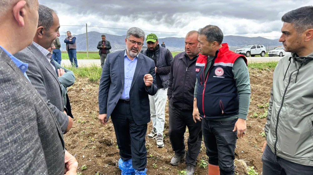 Milletvekili Ali Özkaya, Zirai Dondan Etkilenen Arazilerde İncelemelerde Bulundu